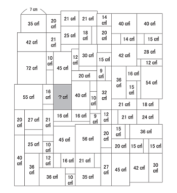 Area Maze Puzzle